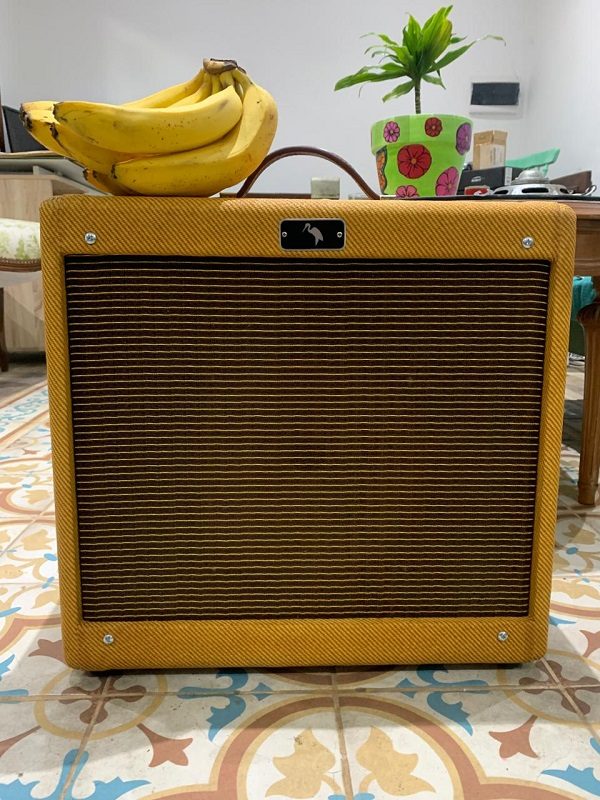 GT AMPS 5F2-A PRINCETON